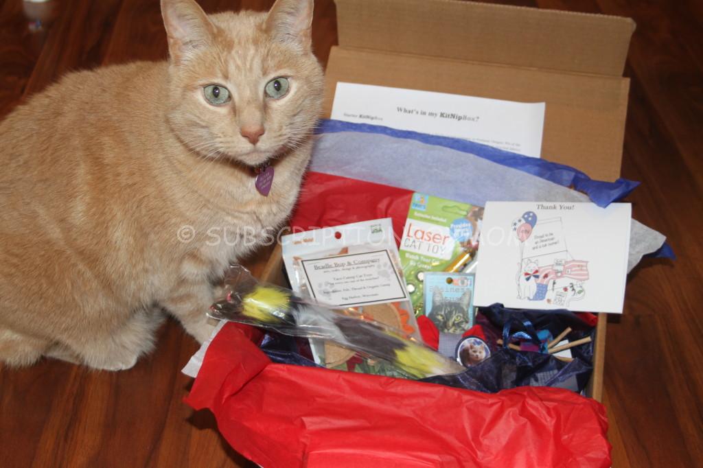 catnip subscription box