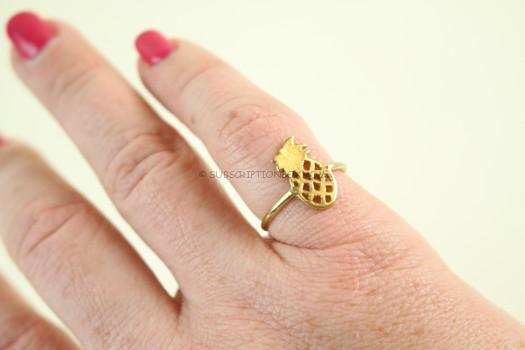  Pineapple Ring