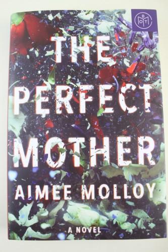 The Perfect Mother by Aimee Molloy 