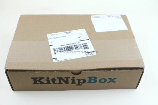 KitNipBox October 2018 Cat Subscription Box Review