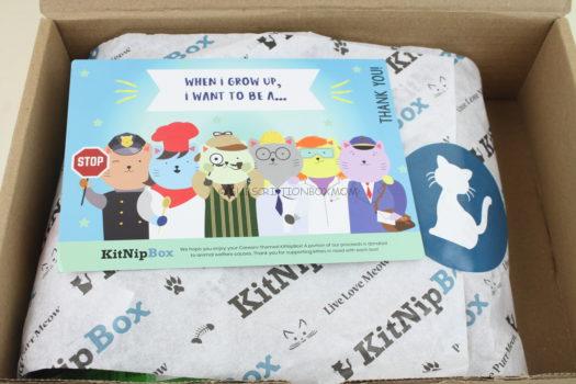 KitNipBox October 2018 Cat Subscription Box Review