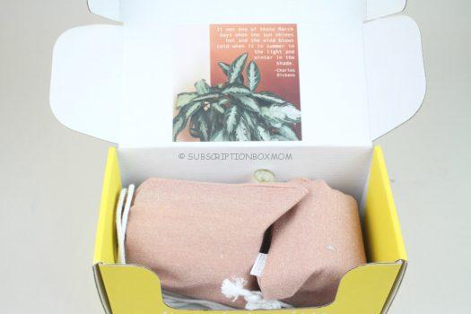 Vellabox March 2020 Candle Subscription Box Review