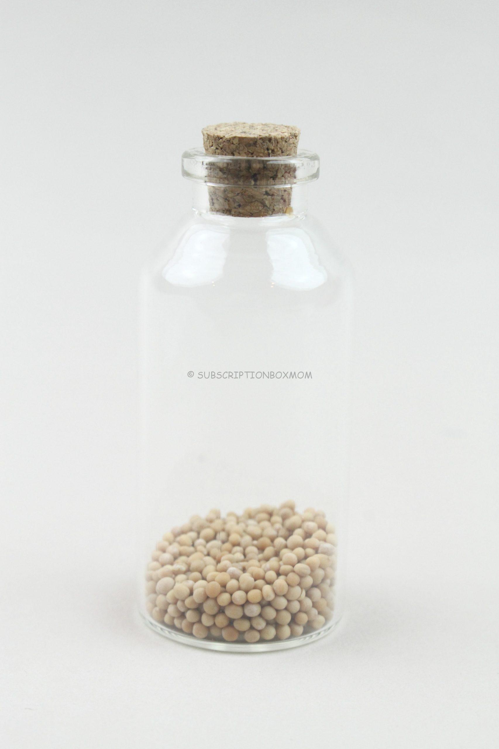 Mustard Seeds