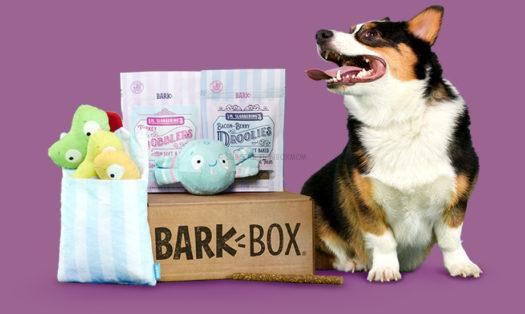 BarkBox Half Off 3 Day Sale