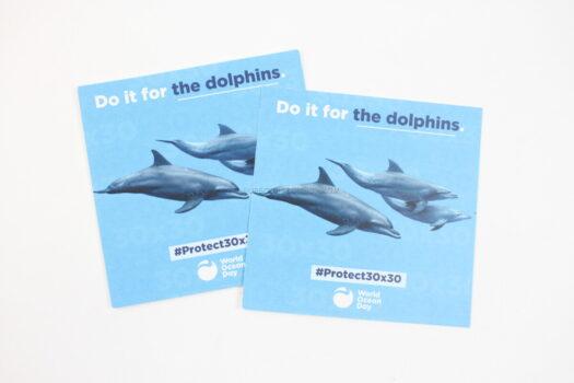 Dolphin Stickers