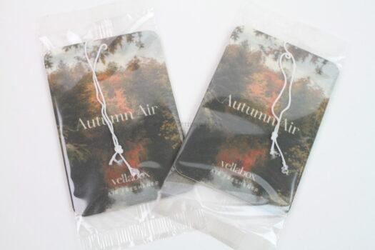 "Autumn Air" Air Fresheners (Set of 2) 